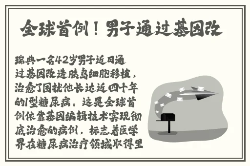非洲妇女大码阔腿连体裤